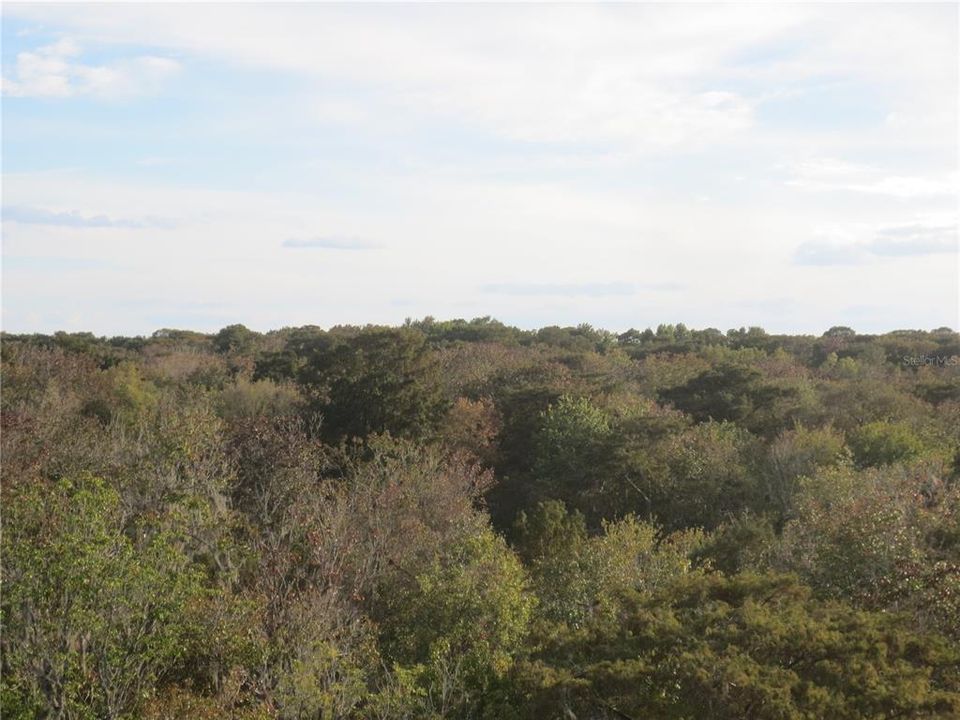 For Sale: $120,000 (3 beds, 2 baths, 1083 Square Feet)