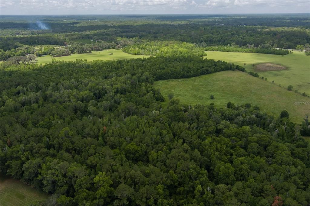 For Sale: $2,760,000 (230.00 acres)