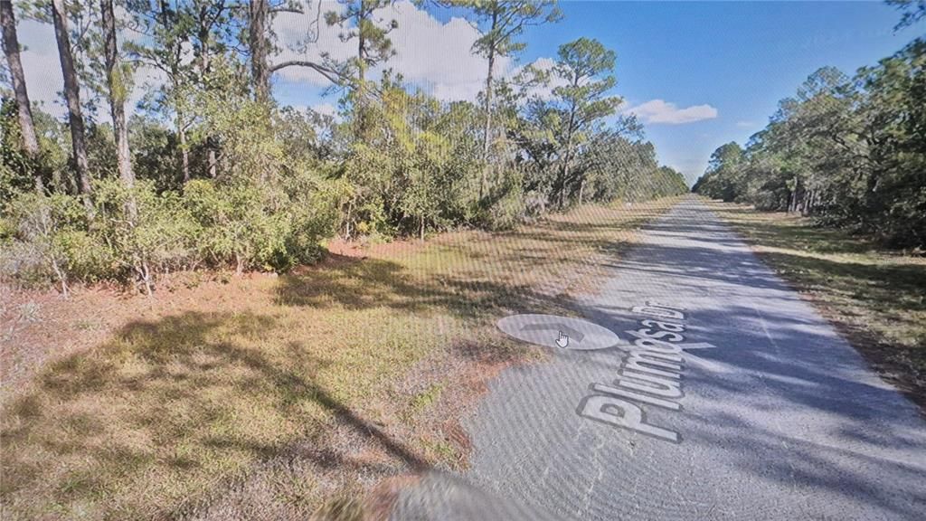 En Venta: $11,500 (0.50 acres)