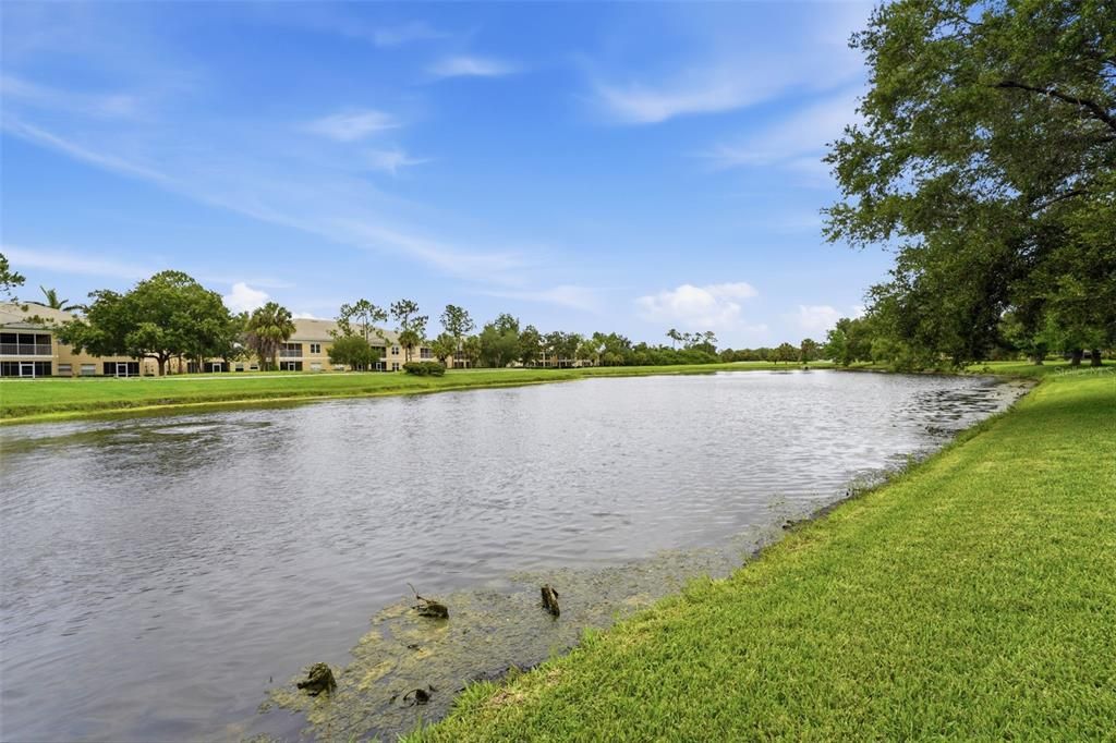 For Sale: $575,000 (4 beds, 3 baths, 2346 Square Feet)