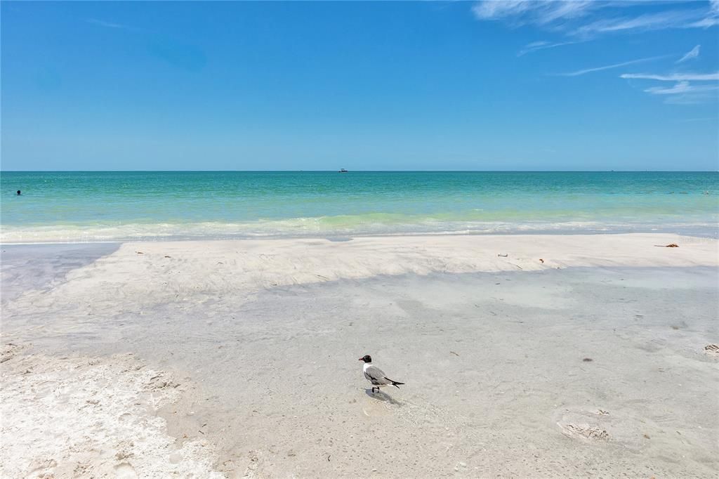 For Rent: $4,000 (2 beds, 2 baths, 1180 Square Feet)
