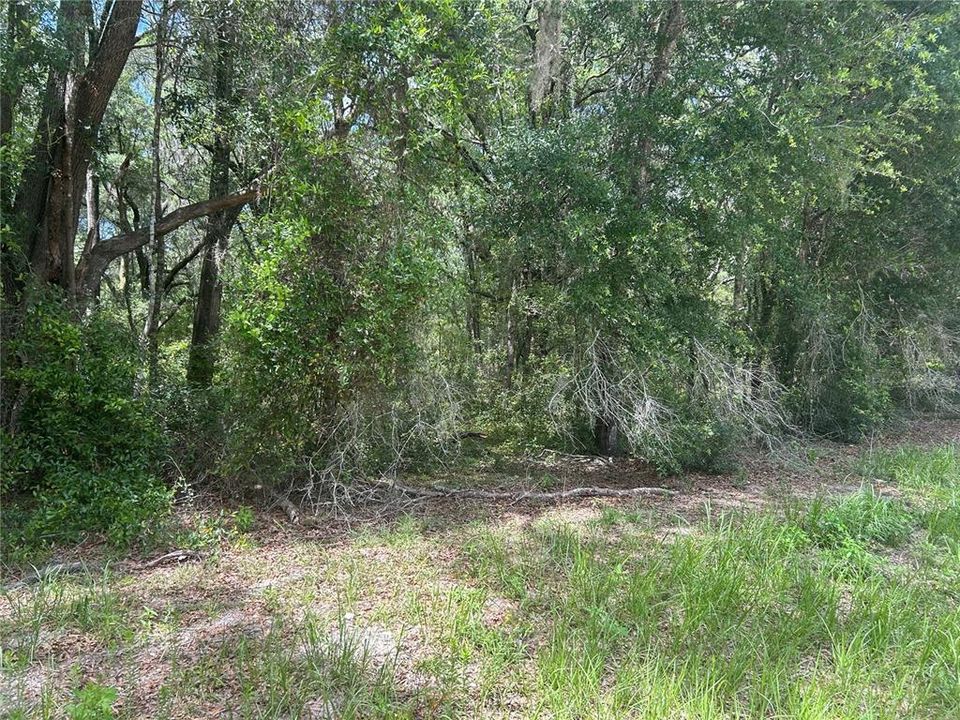 For Sale: $65,900 (1.51 acres)
