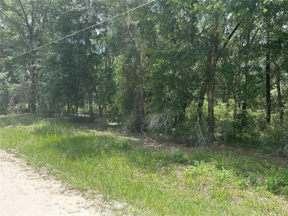 For Sale: $65,900 (1.51 acres)