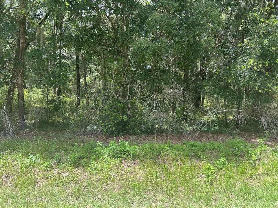 For Sale: $65,900 (1.51 acres)