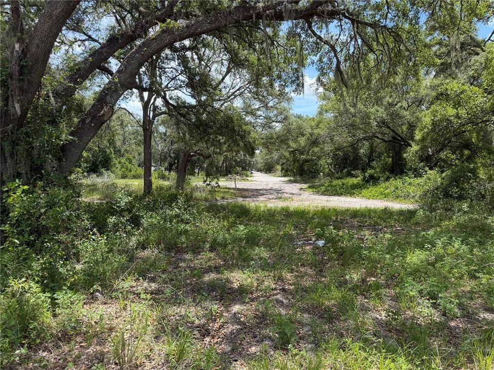 For Sale: $55,000 (1.23 acres)