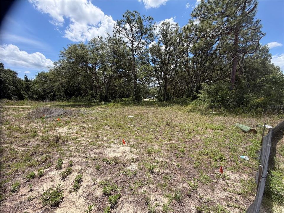 For Sale: $55,000 (1.23 acres)