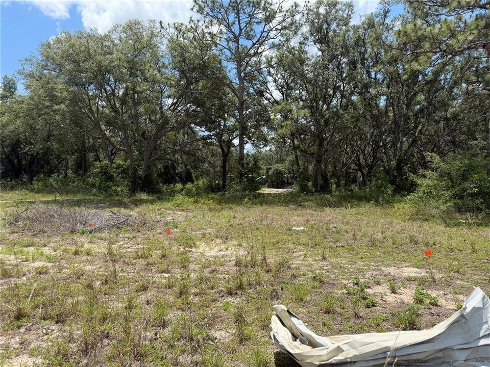 For Sale: $55,000 (1.23 acres)