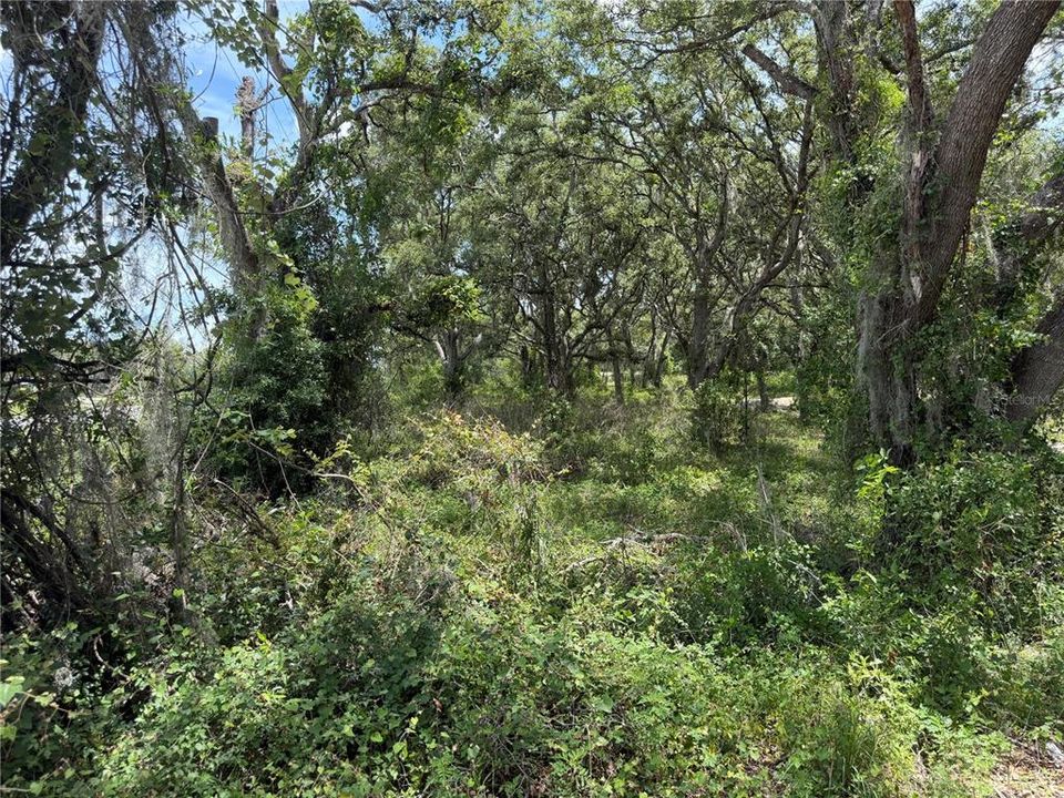For Sale: $55,000 (1.23 acres)