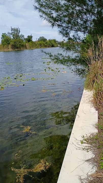 На продажу: $149,900 (0.34 acres)