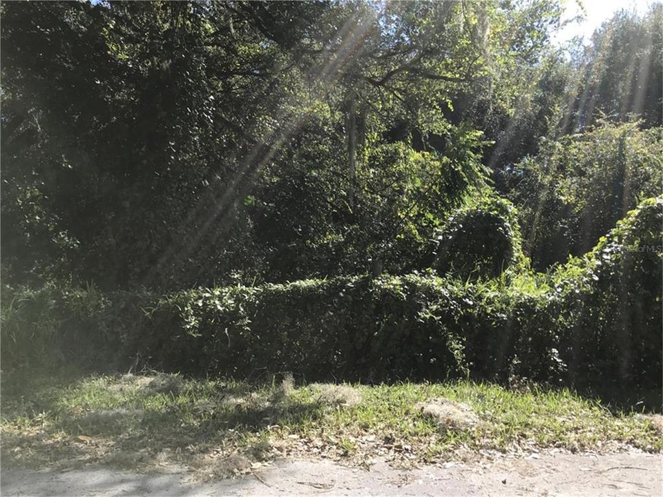 待售: $65,000 (0.91 acres)