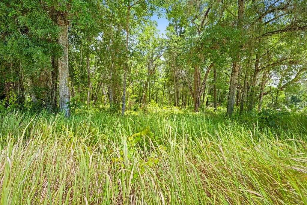 На продажу: $50,000 (0.88 acres)