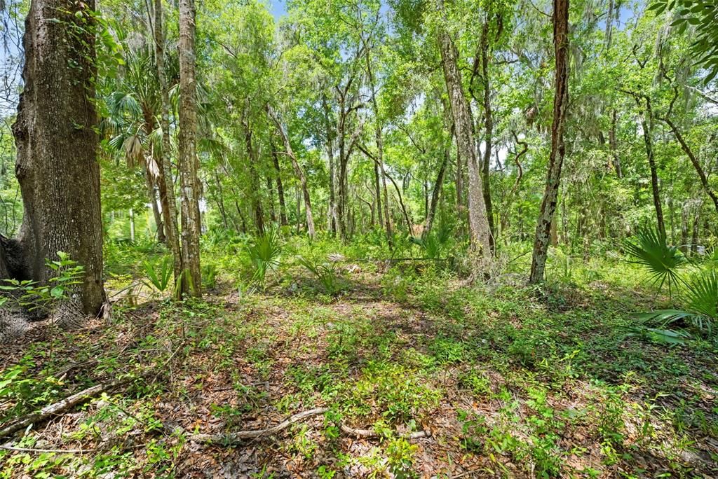 На продажу: $50,000 (0.88 acres)