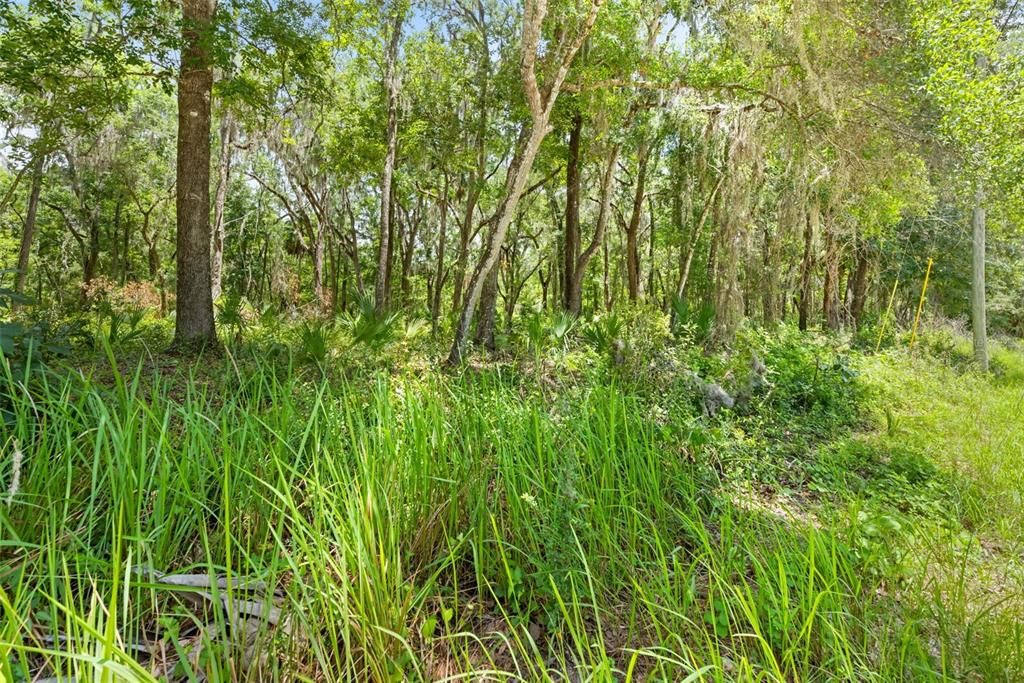 На продажу: $50,000 (0.90 acres)