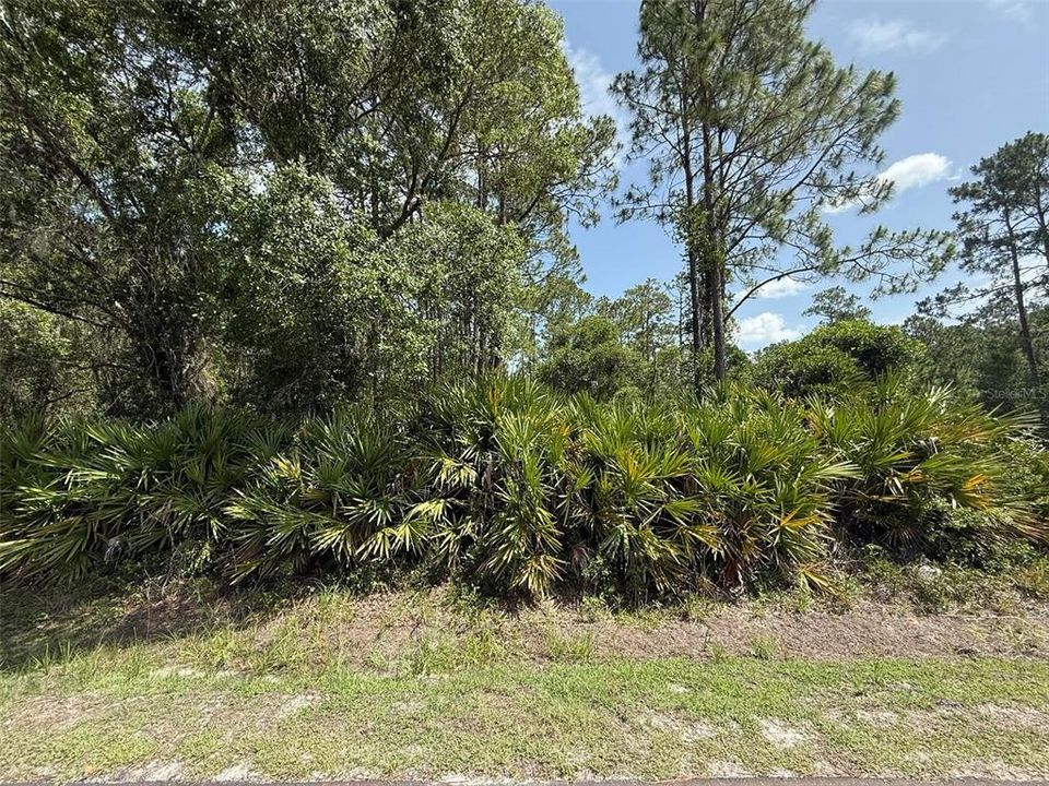 En Venta: $9,900 (0.34 acres)