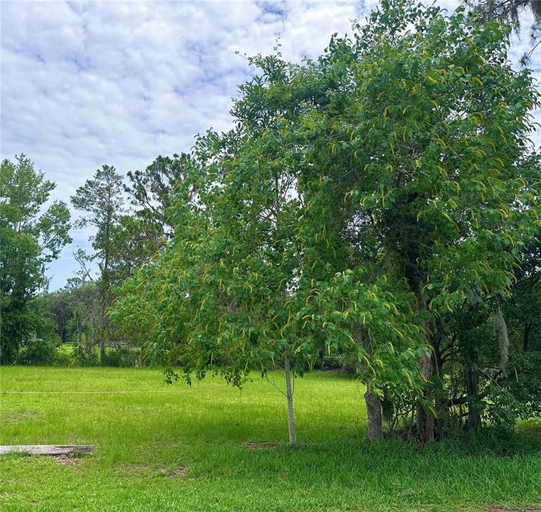 На продажу: $55,000 (0.23 acres)