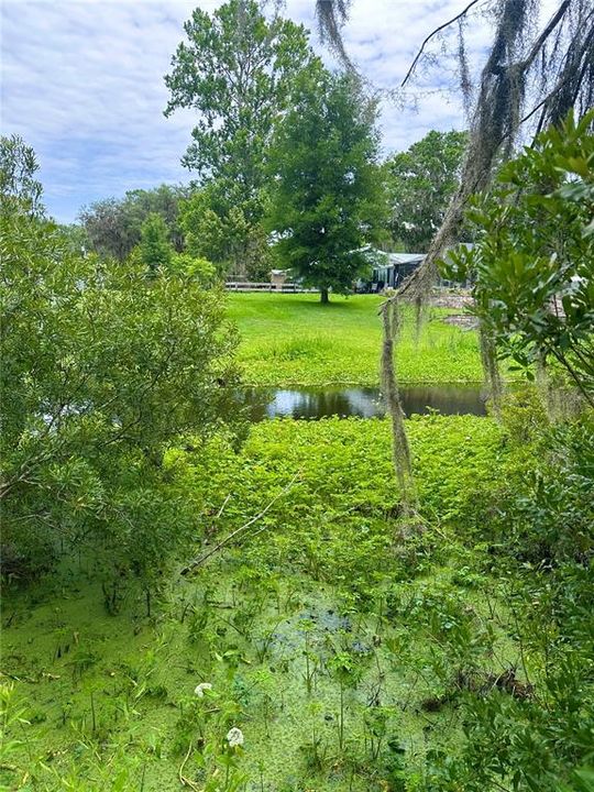 На продажу: $55,000 (0.23 acres)