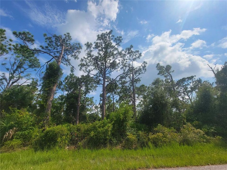 For Sale: $45,000 (0.46 acres)