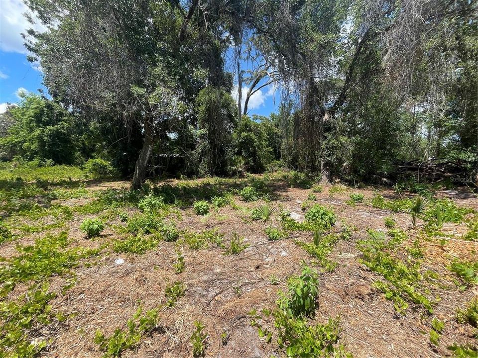 待售: $22,000 (0.22 acres)