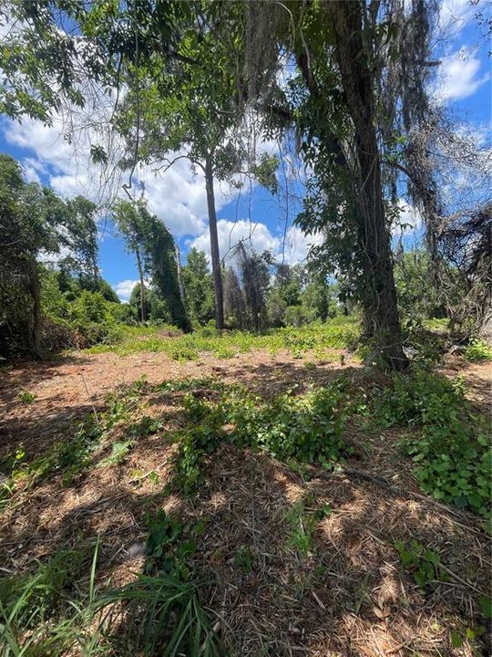 待售: $25,000 (0.31 acres)