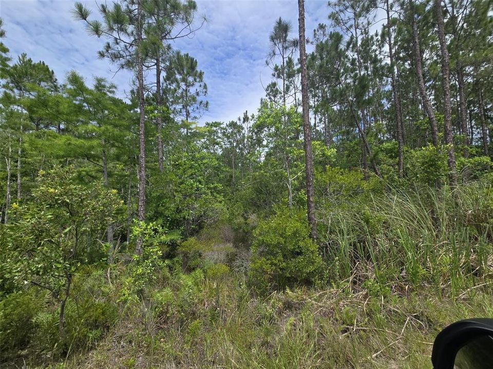 En Venta: $249,000 (25.00 acres)