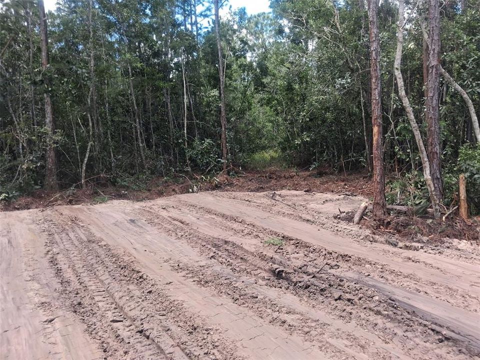 En Venta: $249,000 (25.00 acres)