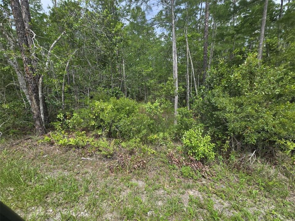 En Venta: $249,000 (25.00 acres)