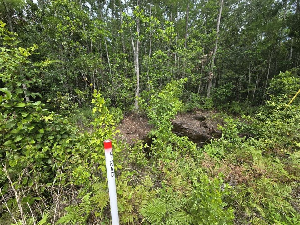 En Venta: $249,000 (25.00 acres)