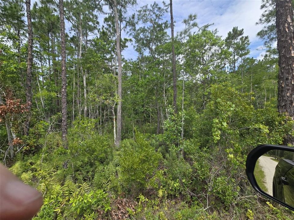 En Venta: $249,000 (25.00 acres)