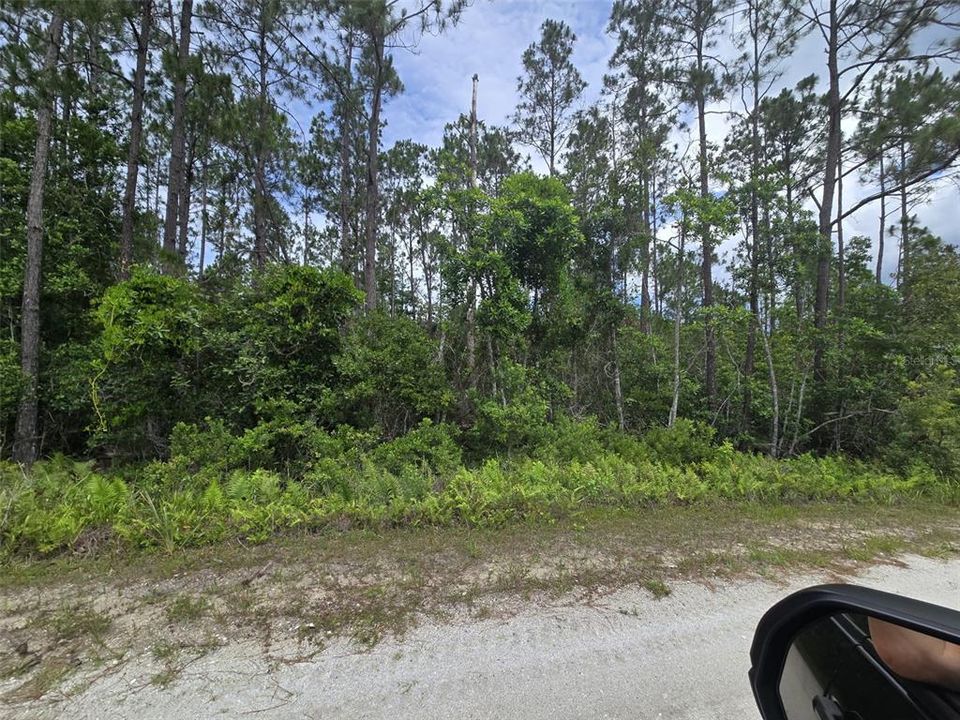 En Venta: $249,000 (25.00 acres)
