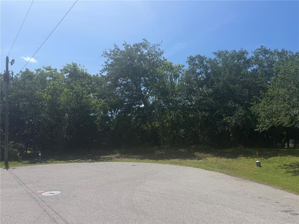 На продажу: $309,000 (0.31 acres)