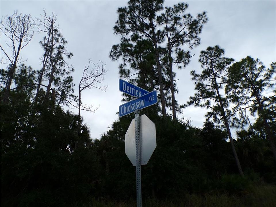 待售: $23,990 (0.24 acres)