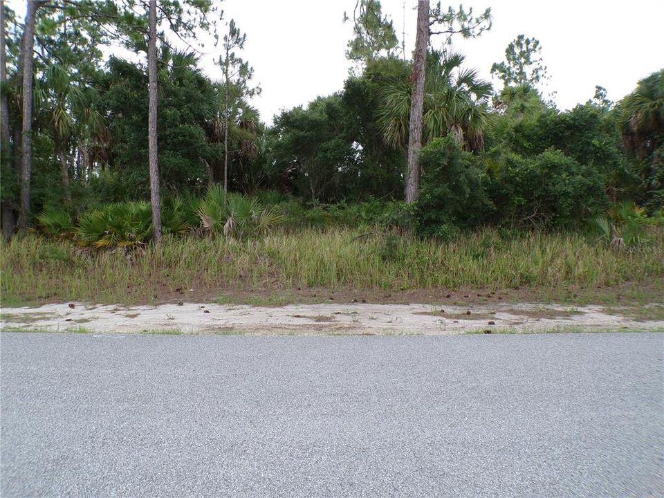 待售: $23,990 (0.24 acres)