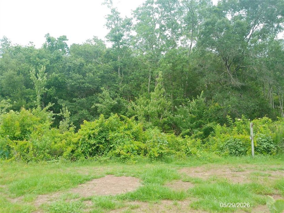 For Rent: $1,700 (3 beds, 2 baths, 1353 Square Feet)