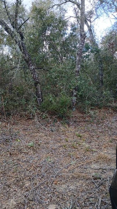 En Venta: $23,000 (0.63 acres)