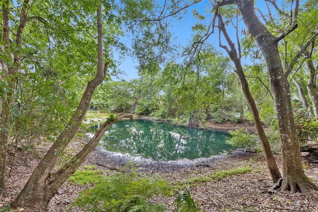 For Sale: $105,000 (0.48 acres)