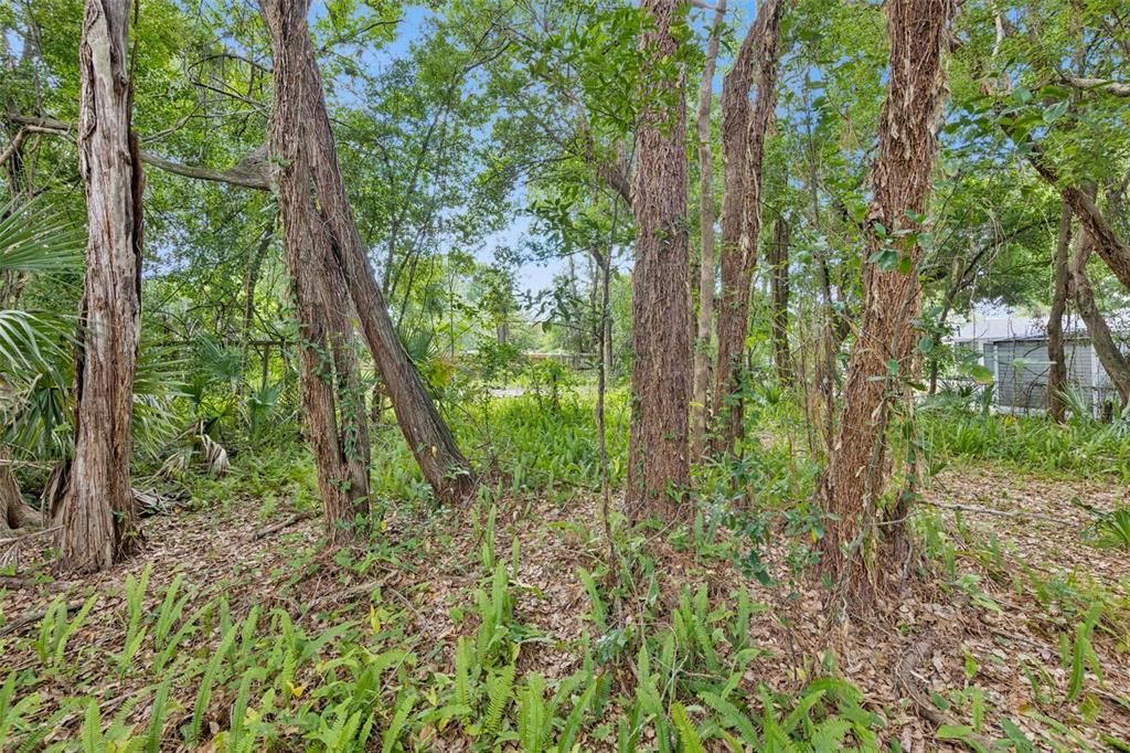 For Sale: $105,000 (0.48 acres)