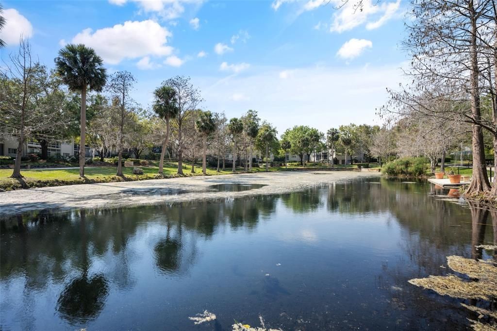 For Sale: $235,900 (1 beds, 1 baths, 787 Square Feet)