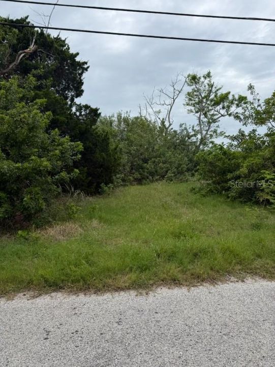 For Sale: $157,000 (0.13 acres)