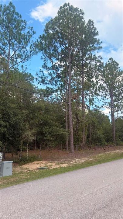 For Sale: $40,990 (0.98 acres)