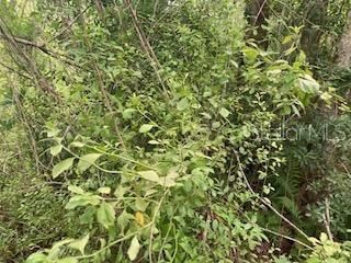 На продажу: $36,900 (2.54 acres)
