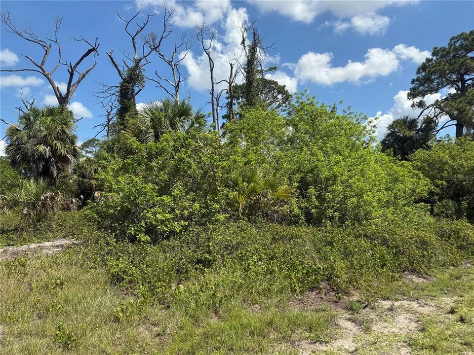 待售: $18,500 (0.23 acres)