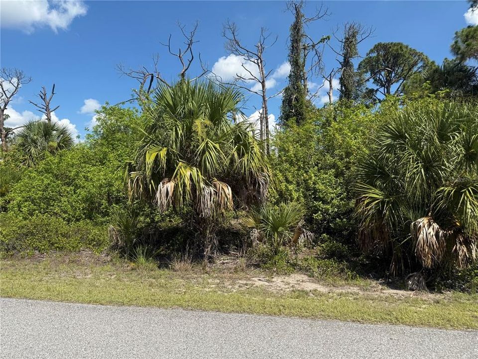 待售: $18,500 (0.23 acres)