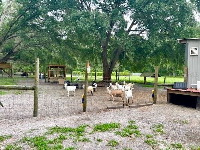 For Sale: $699,000 (14.36 acres)