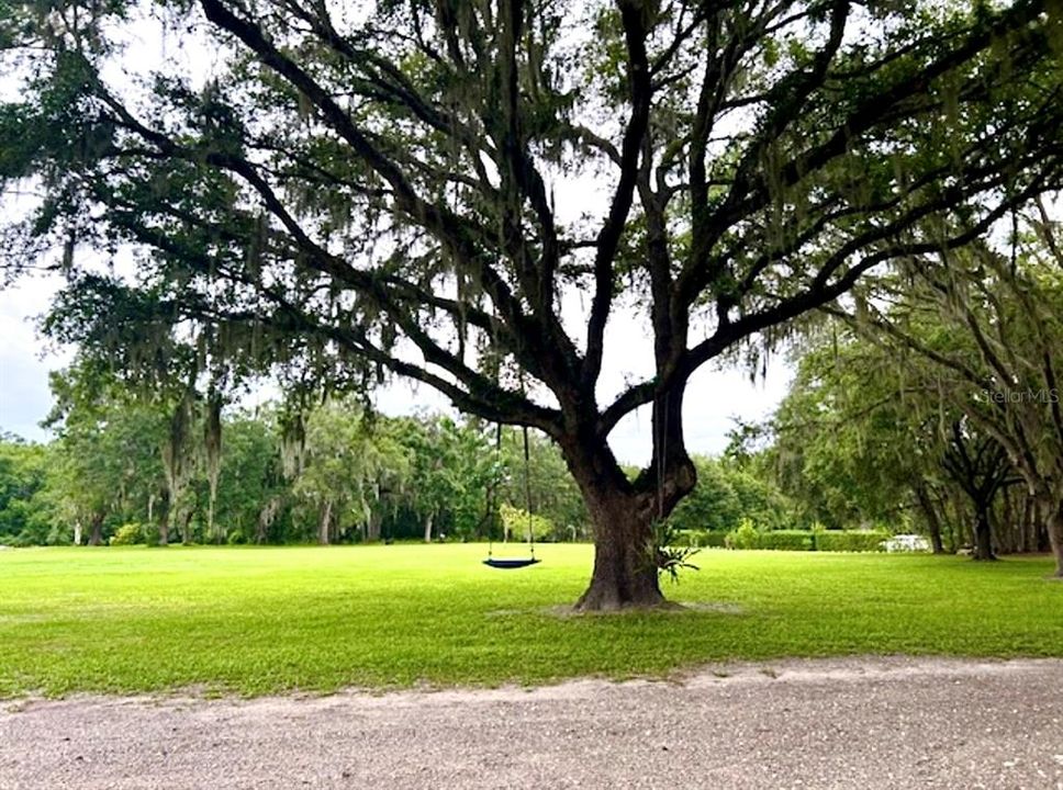 For Sale: $699,000 (14.36 acres)