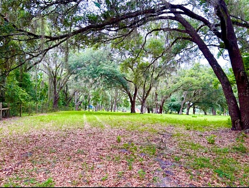 For Sale: $699,000 (14.36 acres)
