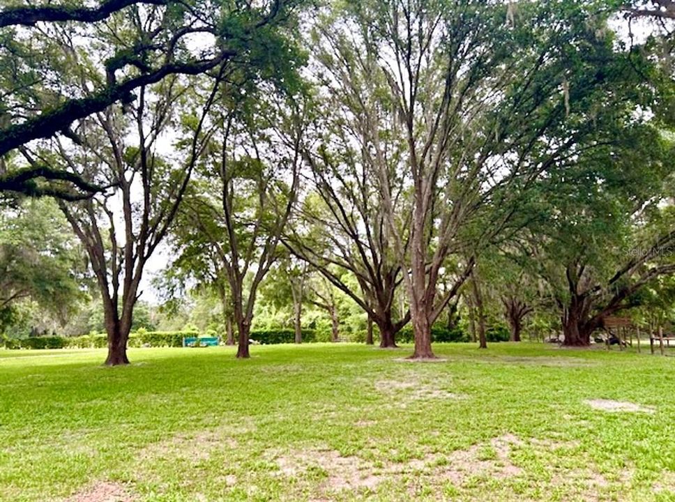 For Sale: $699,000 (14.36 acres)