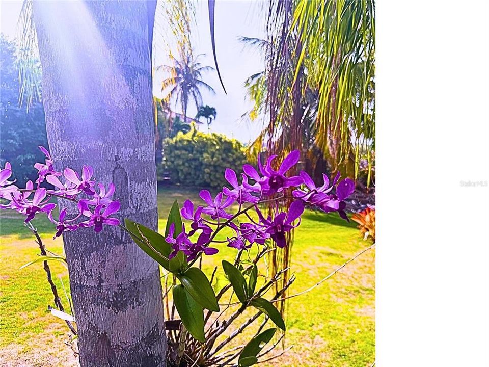 En Venta: $1,985,000 (3 camas, 4 baños, 3000 Pies cuadrados)