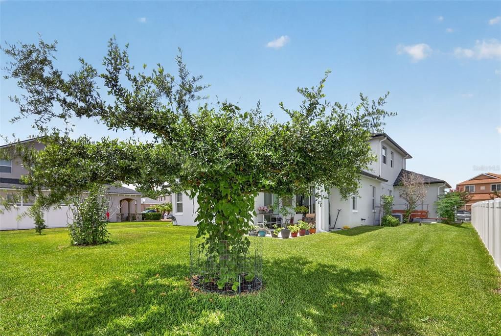 For Sale: $499,995 (4 beds, 3 baths, 2568 Square Feet)