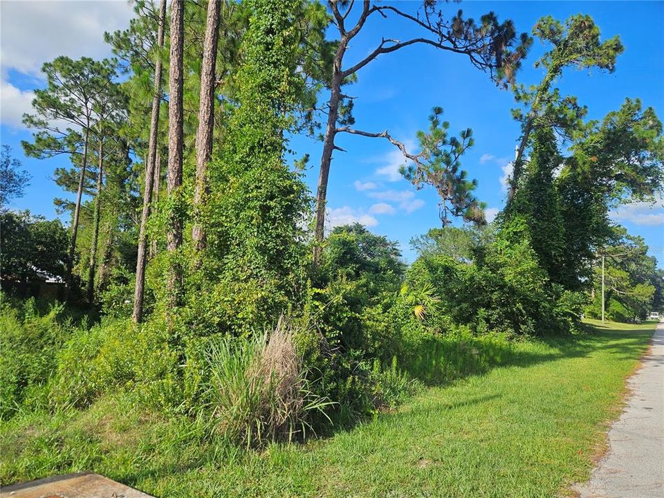 На продажу: $65,000 (0.25 acres)