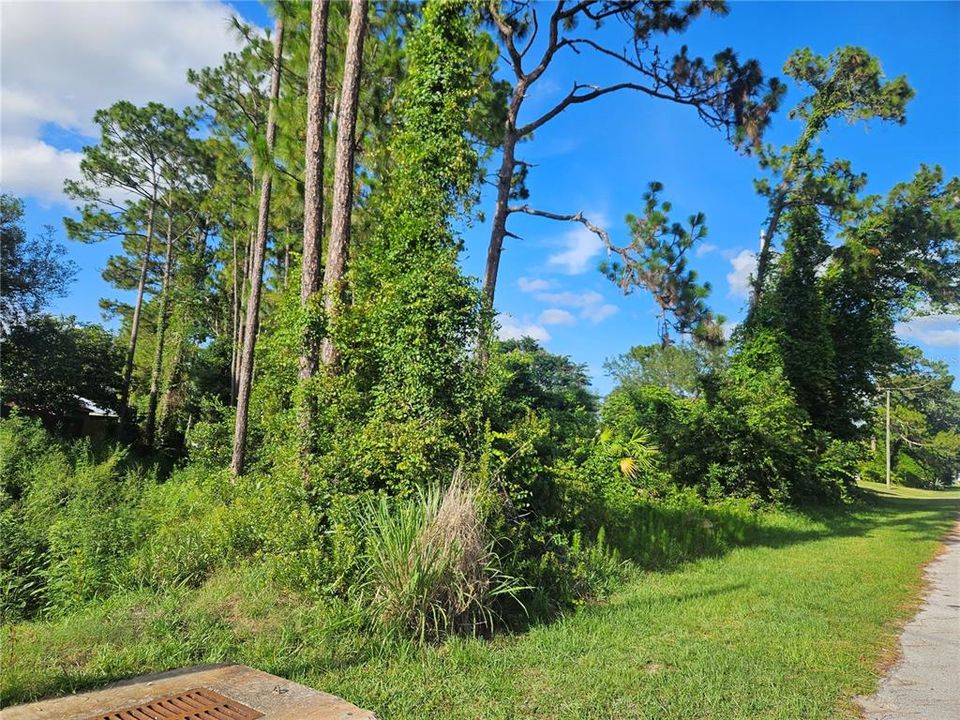 На продажу: $65,000 (0.25 acres)